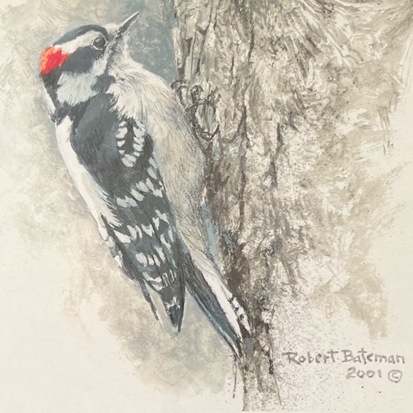 Meet your Posher, Paul - Picture 1 of 1